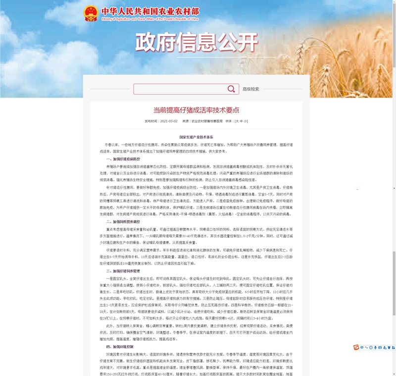 當前提高仔豬成活率技術要點