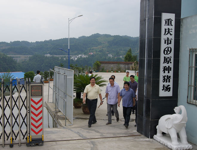 國(guó)家鄉(xiāng)村振興局副局長(zhǎng)、原黔江區(qū)委書記洪天云視察重慶69
