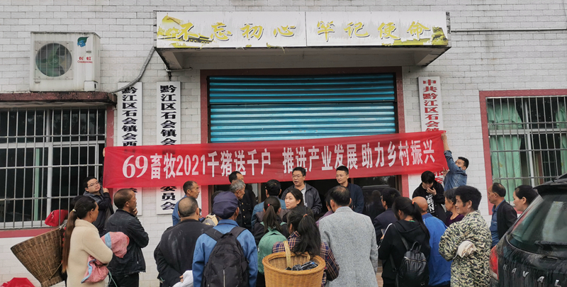 69畜牧免費送千豬到黔江千家貧困戶